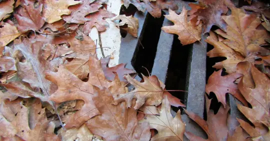 Outdoor drainage with leaves